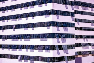 华体会网页登录-体育赛事风险管控体系建设,体育赛事风险防范