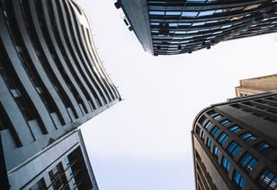 华体会全站-多米尼加体育产业融合发展新模式,多米尼加主要产业