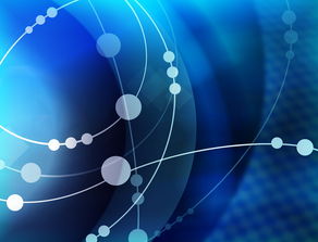 华体会全站-多米尼加体育产业融合发展新模式,多米尼加主要产业